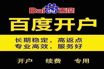 百度广告竞价策略解析与应用案例